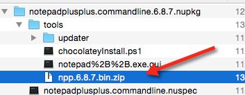 Zip file embedding in package